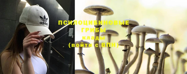 таблы Армянск