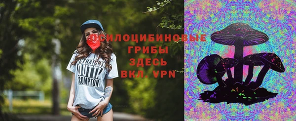 хмурый Алексин