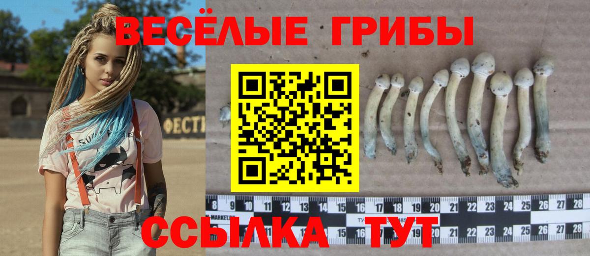 Канаш  Галлюциногенные грибы мухоморы  Вход с VPN 