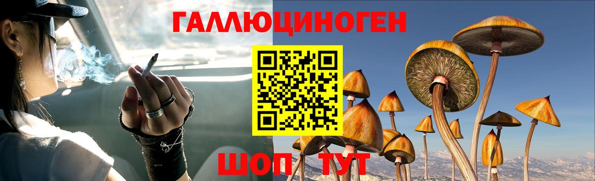 Галлюциногенные грибы ЛСД Канаш